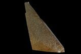 Dogtooth Calcite Crystal - Morocco #96839-1